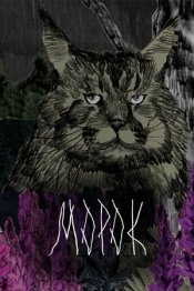 Morok