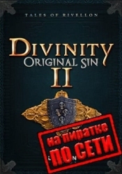 Divinity Original Sin 2 по сети