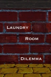 Laundry Room Dilemma