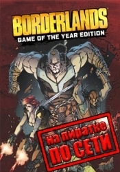 Borderlands по сети