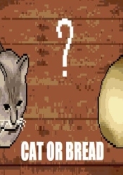 Cat or Bread?