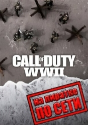 Call of Duty WW2 по сети