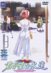 Kimi ga Nozomu Eien ~Special Fan Disc~