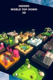 Hidden World Top-Down 3D