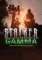 Сталкер Гамма
