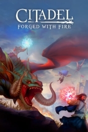 Citadel: Forged with Fire