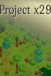 Project x29
