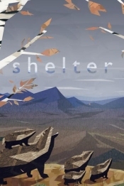 Shelter