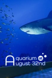 Aquarium at August 32nd