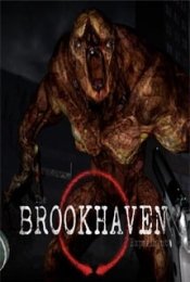 The Brookhaven Experiment