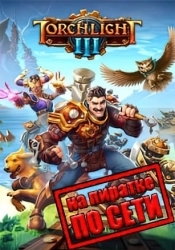 Torchlight 3 по сети