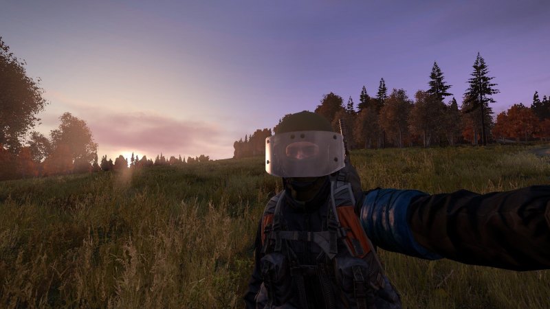 Какой античит dayz