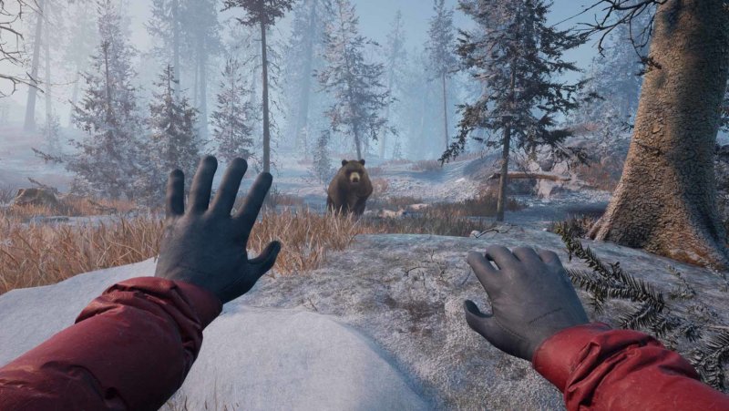 Winter survival simulator системные требования