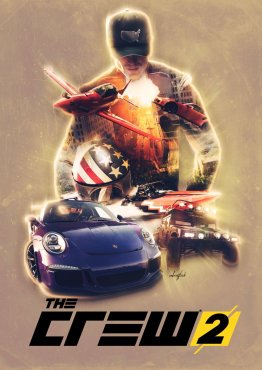 Какие рули поддерживает the crew 2