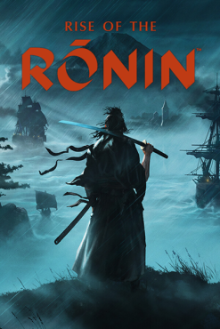 Rise of the Ronin по сети