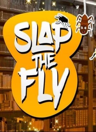 Slap The Fly по сети
