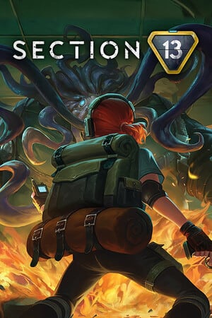 Section 13 по сети