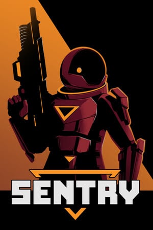 SENTRY по сети