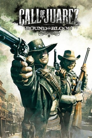 Call of Juarez: Bound in Blood по сети