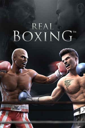 Real Boxing по сети