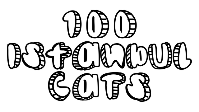 100 Istanbul Cats