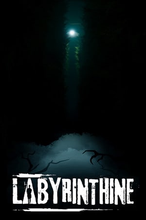 Labyrinthine по сети
