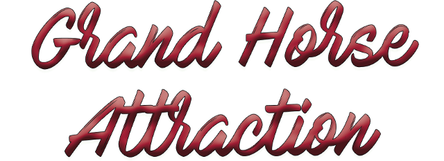 Grand horse attraction