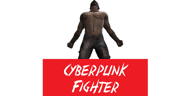 Cyberpunk Fighter