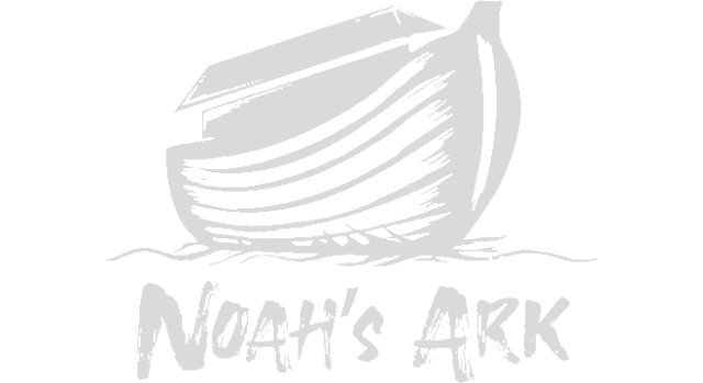 Noah's Ark