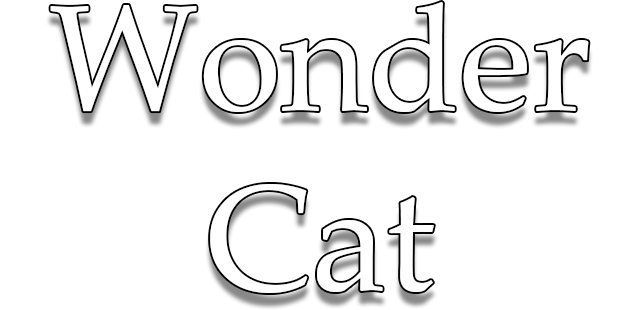 Wonder Cat