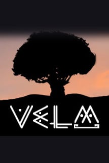 VeLM