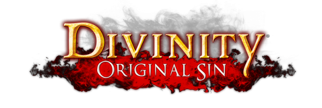 Divinity Original Sin Enhanced Edition по сети
