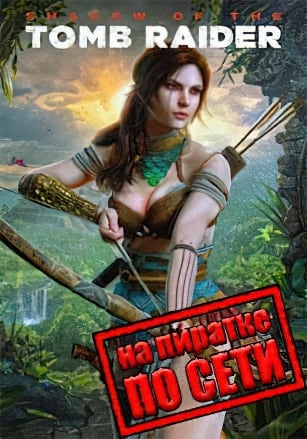 Shadow of the Tomb Raider по сети по сети