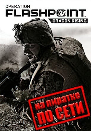Operation Flashpoint: Dragon Rising по сети