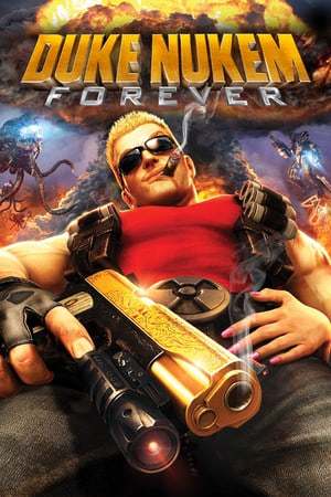Duke Nukem Forever по сети