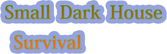 Small Dark House Survival