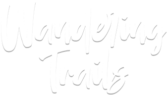 Wandering Trails: A Hiking Game
