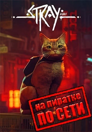 Stray по сети по сети