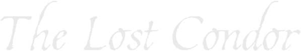 The Lost Condor - Walking Simulator