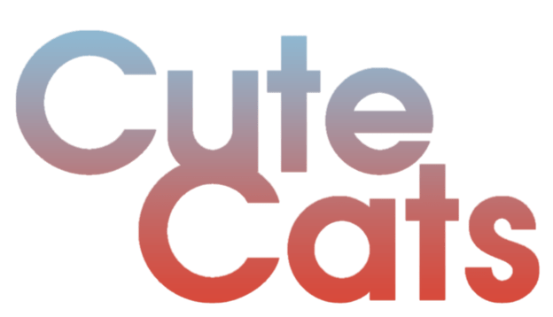 Cute Cats