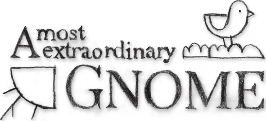 A Most Extraordinary Gnome