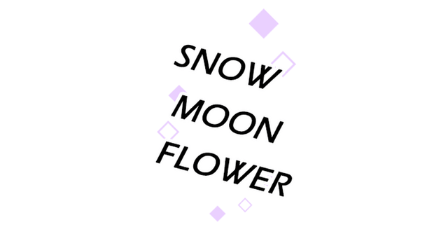Snow Moon Flower