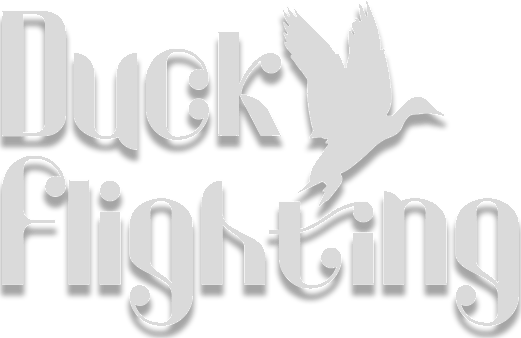 Duck Flight Simulator 2021