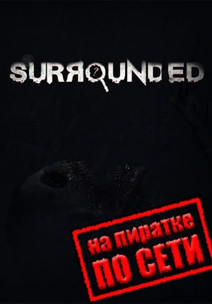 Surrounded по сети