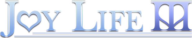 Joy Life 3