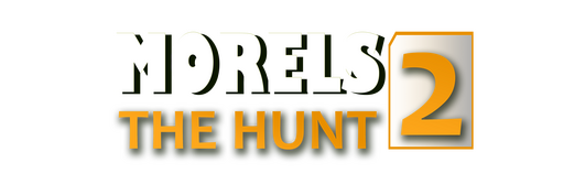 Morels: The Hunt 2