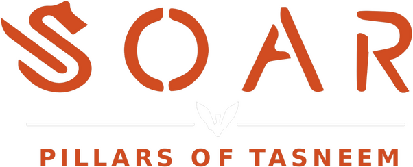 Soar: Pillars of Tasneem