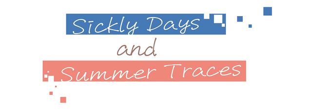 Sickly Days and Summer Traces