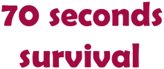 70 Seconds Survival