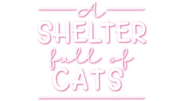 A Shelter Full of Cats